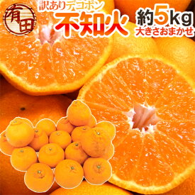 ”和歌山 有田産 不知火・しらぬい（訳ありデコポン）” 約5kg 大きさおまかせ【予約 2月下旬以降】 送料無料