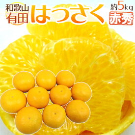 ”和歌山有田産 AQはっさく” 赤秀 超大玉3L/4L/5Lサイズ 約5kg【予約 1月中旬以降】 送料無料