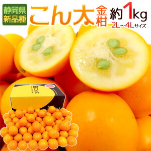 É h񑾂񂩂h Gi 2L`4LTCY 1kg ϔ  ܂邩y\ 1ȍ~z 