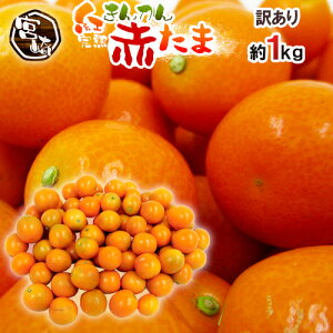 h{茧 Ԃ Ԃ gh 󂠂 1kg 傫܂ 񂩂y\ 1{ȍ~z 