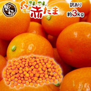 h{茧 Ԃ Ԃ gh 󂠂 3kg 傫܂ 񂩂y\ 1{ȍ~z 