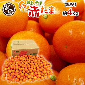 {茧 Ԃ hԂ gh 󂠂 4kg 傫܂ 񂩂y\ 1{ȍ~z 