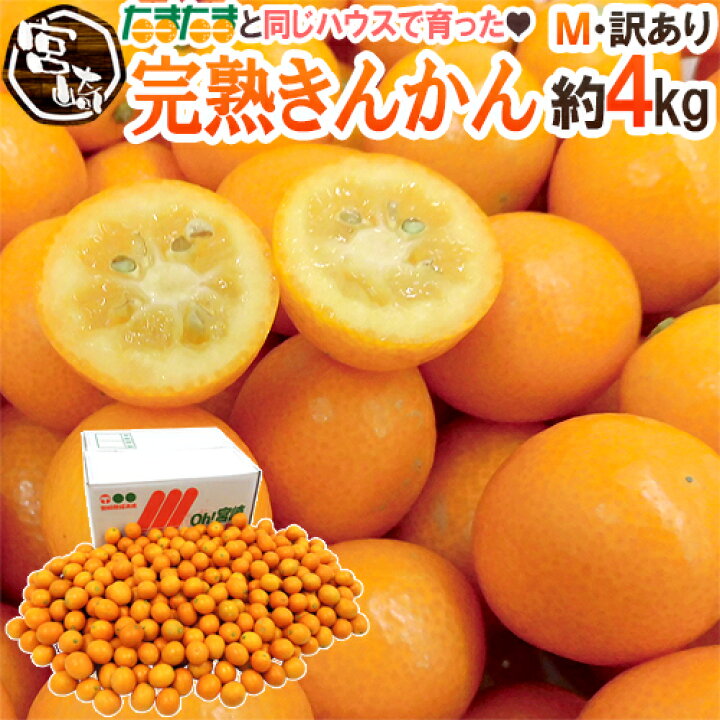 楽天市場】宮崎県 ”完熟きんかん” 訳あり M/L 約4kg あと少しで「完熟 