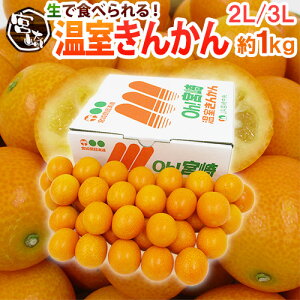 {茧 h񂩂h Gi 2L`3LTCY 1kg ϔ y\ 12ȍ~z 