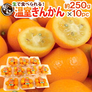 {茧 h񂩂h Gi 2Lȏ 250g×s10pctiv2.5kgjy\ 11{ȍ~z 