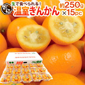 {茧 h񂩂h Gi 2Lȏ 250g×s15pcty\ 11{ȍ~z 