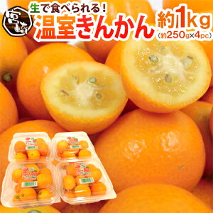 {茧 h񂩂h Gi 2Lȏ 250g×s4pctiv1kgjy\ 11{ȍ~z 