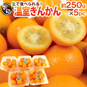 {茧 h񂩂h Gi 2Lȏ 250g×s5pcty\ 11{ȍ~z 