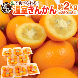 {茧 h񂩂h Gi 2Lȏ 250g×s8pctiv2kgjy\ 11{ȍ~z 