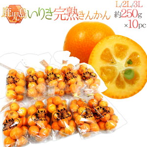 Y hn񂩂 肫h Gi L`3LTCY 250g×s10pcty\ 12ȍ~z 