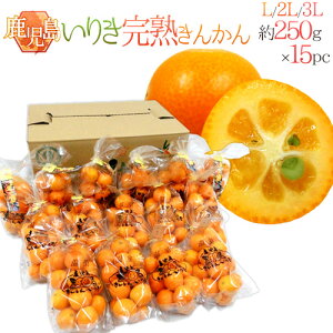 Y hn񂩂 肫h Gi L`3LTCY 250g×s15pcty\ 12ȍ~z 