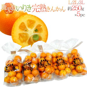 Y hn񂩂 肫h Gi L`3LTCY 250g×s5pcty\ 12ȍ~z 