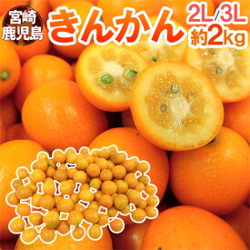 楽天市場 きんかん フルーツ 果物 食品 の通販