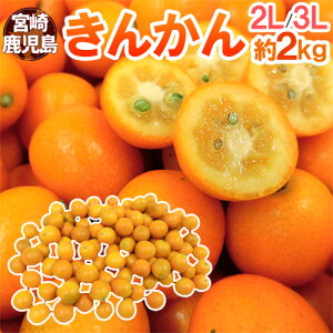 {E h񂩂h Gi 2L`3L 2kg y\ 12ȍ~z 