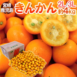 {E h񂩂h Gi 2L`3L 4kg y\ 12ȍ~z 