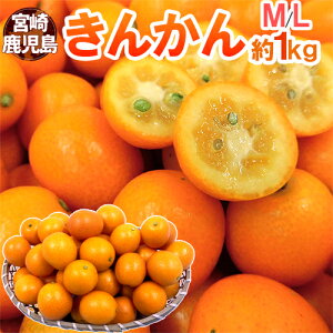 {E h񂩂h Gi M`L 1kg y\ 11{ȍ~z