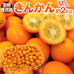 {E h񂩂h Gi M`L 2kg y\ 11{ȍ~z 