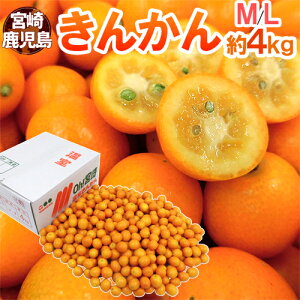 {E h񂩂h Gi M`L 4kg y\ 11{ȍ~z 