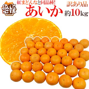 hQY g܂ǂȂƓi h 󂠂 10kg 傫܂y\ 11ȍ~z 