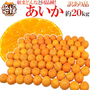 hQY g܂ǂȂƓi h 󂠂 20kg 傫܂y\ 11ȍ~z 