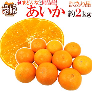 hQY g܂ǂȂƓi h 󂠂 2kg 傫܂y\ 11ȍ~z 