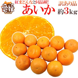 hQY g܂ǂȂƓi h 󂠂 3kg 傫܂y\ 11ȍ~z 