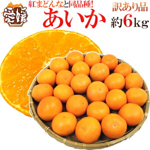 hQY g܂ǂȂƓi h 󂠂 6kg 傫܂y\ 11ȍ~z 