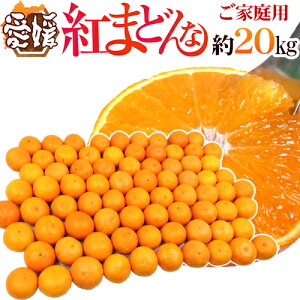 �h���Q�Y �g�܂ǂ�ȁh ��20kg �傫�����܂��� ���ƒ�p�y�\�� 12���ȍ~�z ��������