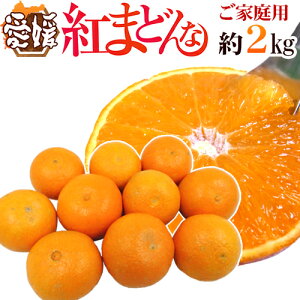 hQY g܂ǂȁh 2kg 傫܂ ƒpy\ 12ȍ~z 