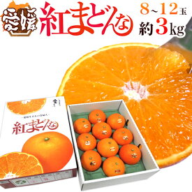 愛媛産 ”紅まどんな” 秀品 2L〜4L 8〜12玉 約3kg【予約 12月以降】 送料無料