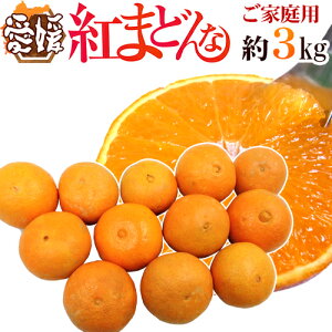 �h���Q�Y �g�܂ǂ�ȁh ��3kg �傫�����܂��� ���ƒ�p�y�\�� 12���ȍ~�z ��������