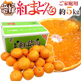 愛媛産 ”紅まどんな” 約5kg 大きさおまかせ ご家庭用【予約 12月以降】 送料無料