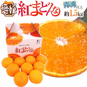 QY hg܂ǂȁh Giȏ 8`10ʑO 1.5kg ϔyΕE\ 12ȍ~z 