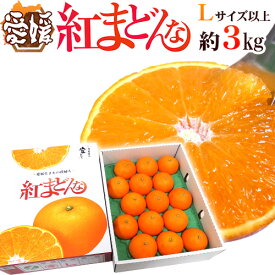 愛媛産 ”紅まどんな” 秀品 Lサイズ以上 約3kg 化粧箱【予約 12月以降】 送料無料
