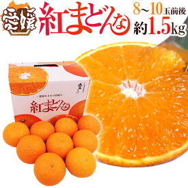 愛媛産 ”紅まどんな” 8〜10玉前後 約1.5kg 化粧箱【お歳暮・予約 12月以降】 送料無料