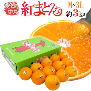 QY hg܂ǂȁh M`3L 10`16 3kg ƒp ϔy\ 12ȍ~z 