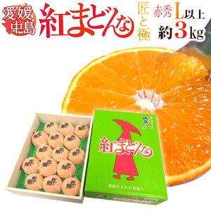 QY hg܂ǂȁh ԏGi  LTCYȏ 3kg uƋɁvV[YyΕE\ 12ȍ~z 