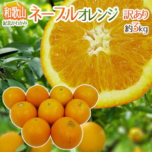 和歌山県 紀北かわかみ ”ネーブルオレンジ” 訳あり 約3kg 大きさおまかせ【予約 1月下旬以降】 送料無料