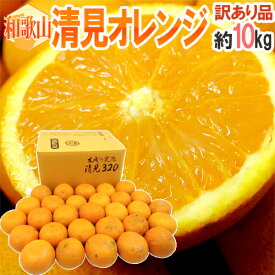 和歌山産 ”清見オレンジ” 訳あり 約10kg 大きさおまかせ【予約 3月以降】 送料無料