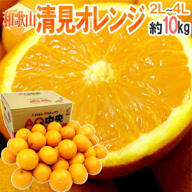 和歌山産 ”清見オレンジ” 秀品 2L〜4L 約10kg【予約 3月以降】 送料無料