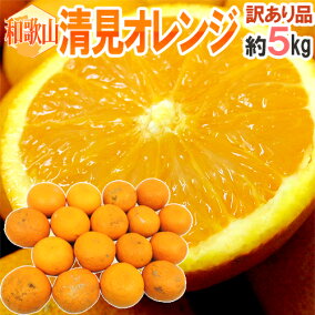 楽天市場 オレンジ 生産国 日本 総重量 果物 4 00 4 99kg 人気ランキング1位 売れ筋商品 週間ランキング