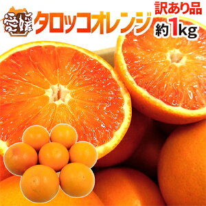 �h���Q�� �^���b�R�I�����W�h �󂠂� ��1kg �傫�����܂��� �u���b�h�I�����W�y�\�� 4���ȍ~�z ��������