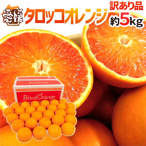 楽天市場】愛媛県 ”タロッコオレンジ” 訳あり 約5kg 大きさおまかせ