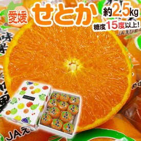 愛媛産 ”せとか” 秀品 10〜12玉前後 約2.5kg 化粧箱 最低糖度15度以上【予約 2月末以降】 送料無料