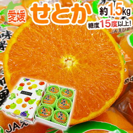 愛媛産 ”せとか” 秀品 6玉前後 約1.5kg 化粧箱 最低糖度15度以上【予約 2月末以降】 送料無料