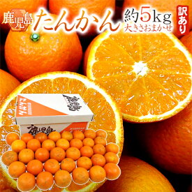 鹿児島産 ”たんかん” 訳あり 約5kg 大きさおまかせ【予約 2月下旬以降】 送料無料