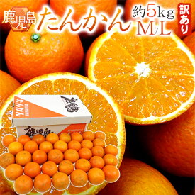 鹿児島産 ”たんかん” 訳あり M/Lサイズ 約5kg【予約 2月下旬以降】 送料無料