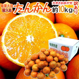 奄美大島・屋久島産 ”たんかん” 訳あり 約10kg 大きさおまかせ【予約 2月以降】 送料無料