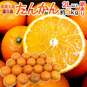 �����哇�E���v���Y �h���񂩂�h �󂠂� 2L�ȏ� ��5kg�y�\�� 2���ȍ~�z ��������