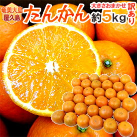 奄美大島・屋久島産 ”たんかん” 訳あり 約5kg 大きさおまかせ【予約 2月以降】 送料無料